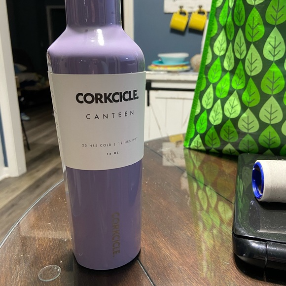 Corkcicle Other - Corkcicle 16 oz Canteen